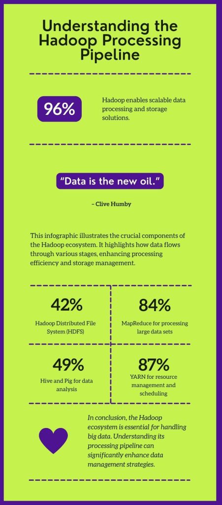 Infographic Understanding The Hadoop Processing Pipeline